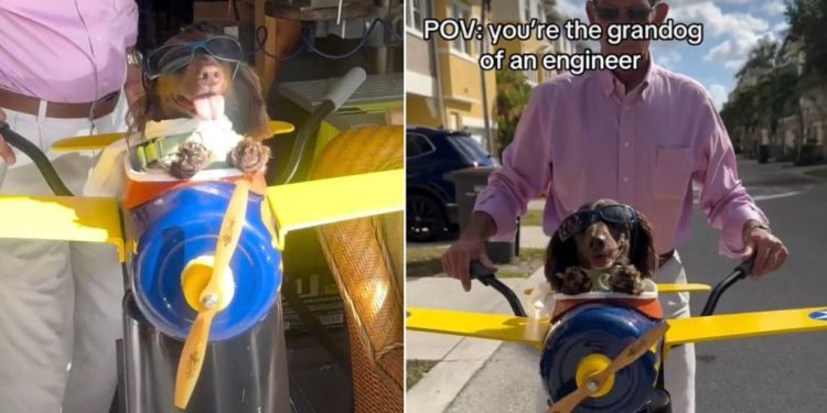 Video: Grandpa Makes a Tiny Airplane Bike Seat for His Dog, and It’s Pure Joy