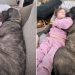 Video: Dog & Kid Show How to Spend Sunday Perfectly