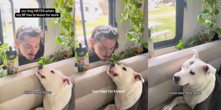 Video: Dog Doesn’t Want Dad to Leave for Work