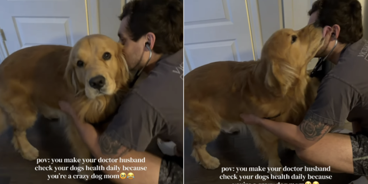 Golden Retriever Gets Daily Health Checkups Because of Dog Mom