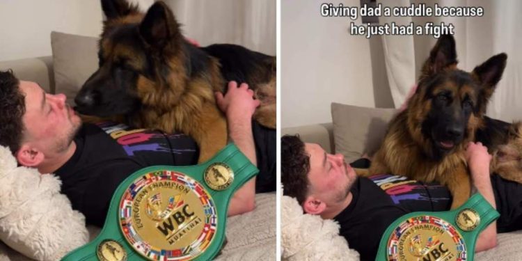 Dog Knows Dad’s in Pain After Winning Fight, Comforts Him With Cuddles