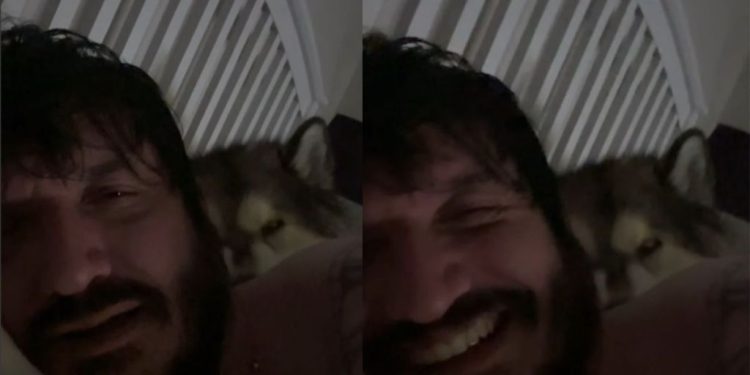 Dog Sleeps & Snores Next to Owner Like He Pays the Rent in Funny Video