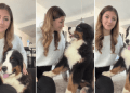 Dog Is Glued to Mom at All Times Because That’s Their New Normal Now
