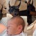 Dog Is Totally Obsessed With Baby After Waiting 9 Months To Meet Him